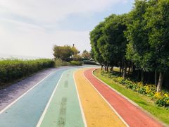 -贡湖湾湿地公园