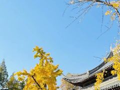 -龙华素斋(龙华路店)