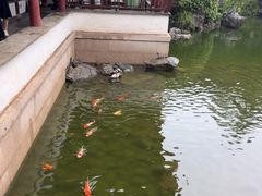 -祝家花園(伯渎港店)