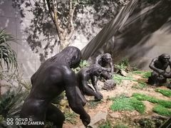 -周口店北京人遗址公园