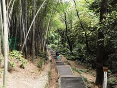 -穹窿山景区