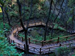 -大岭沟猕猴桃谷风景区