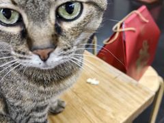 -龙华素斋(龙华路店)