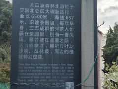 -北仑森林植物园