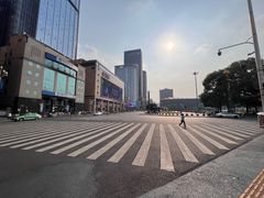 -成都明宇丽雅饭店