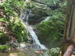 -本溪汤沟绿石谷森林公园