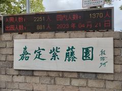 -嘉定紫藤园