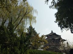 -西安青龙寺遗址景区