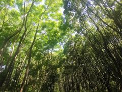 -同里国家湿地公园