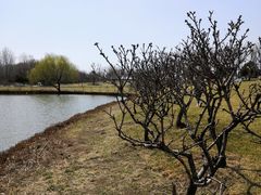 -塘沽森林公园