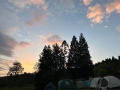 -武陵山森林公园