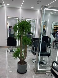 点击看大图 -Coo Hair salon