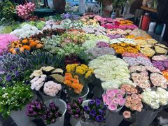 -双季花艺园艺市场(浦东店)