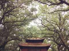 -普陀山风景名胜区-法雨禅寺