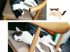 -有才叔的小馆(招商依云曲江店)