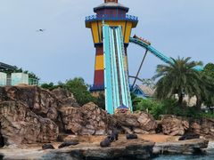 -珠海长隆海洋王国