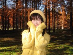 -黄海国家森林公园