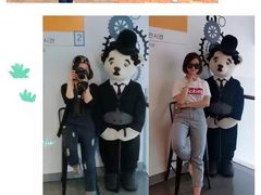 -济州岛泰迪熊博物馆