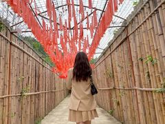 -绵阳盛世樱花悠乐谷