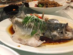 -至潮餐厅精致粤菜·活鲈鱼·走地鸡(珠江新城店)