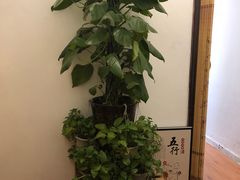 -老成都·古法采耳·禅洗头疗(四川总店)