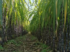 -汉长安城未央宫国家考古遗址公园