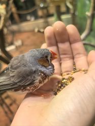 -Zoolung Zoolung动物主题公园(海信广场店)