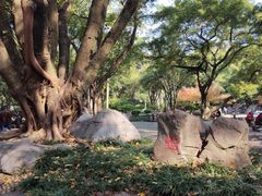 -柳侯公园
