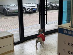 -瑞派康怡24h宠物医院·犬猫医疗中心·微创绝育(瑞景分院)