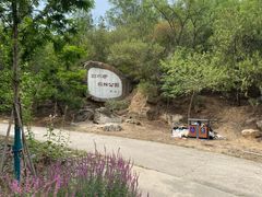-白水寺森林公园