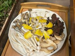 -大理董·董家小厨野生菌火锅(古城旗舰店)