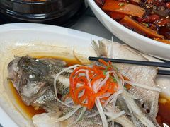 -陈麻婆豆腐(旗舰店)