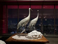 -北京柏悦酒店·锦庭餐厅Dining Room