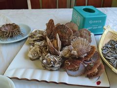 -宾朋海鲜饭庄(兴海路店)