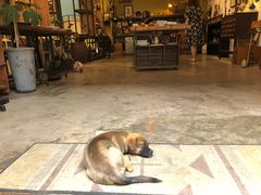 -大理床单厂艺术区