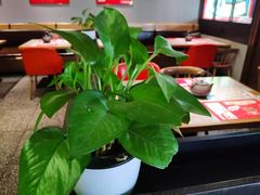 -炭舍干锅(华发商都店)