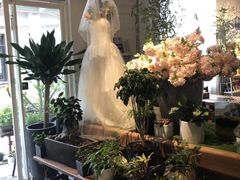 -蓝山四季西餐植物店