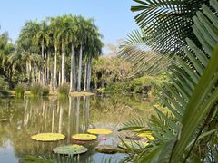 -中国科学院西双版纳热带植物园