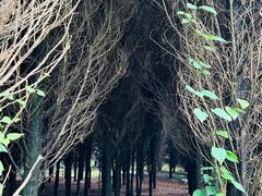 -秦始皇帝陵博物院-丽山园