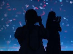 -多彩贵州城极地海洋世界