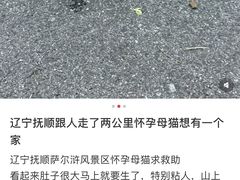 -萨尔浒风景区