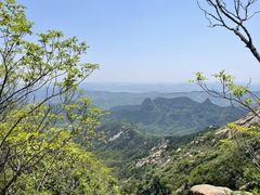 -鲁山国家森林公园