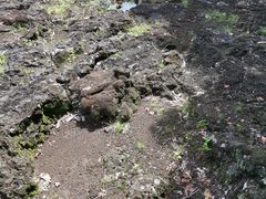 -海口火山口国家地质公园