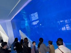 -泉城欧乐堡海洋极地世界