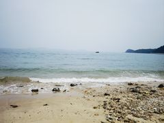 -杨梅坑