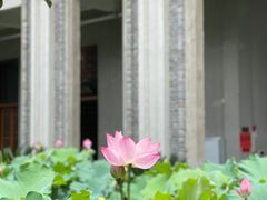-古德寺