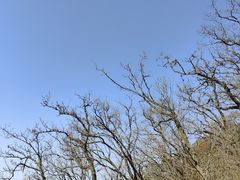 -终南山南五台景区