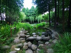 -陈家山荷花公园