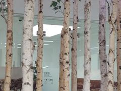 -极简口腔(总院)