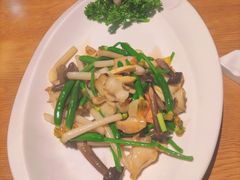 花生苗螺片-周锦记广式餐厅